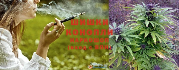 тгк Осташков