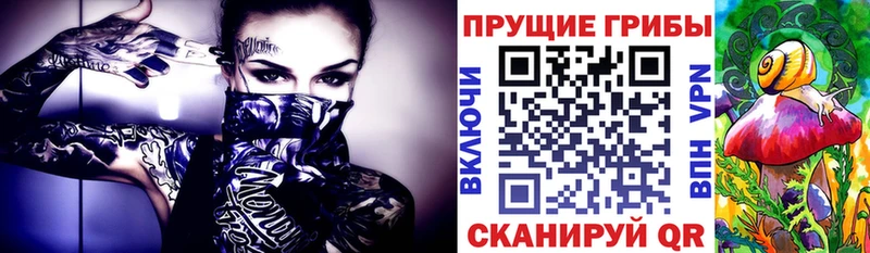 Псилоцибиновые грибы GOLDEN TEACHER  Купить закладки  Зея 